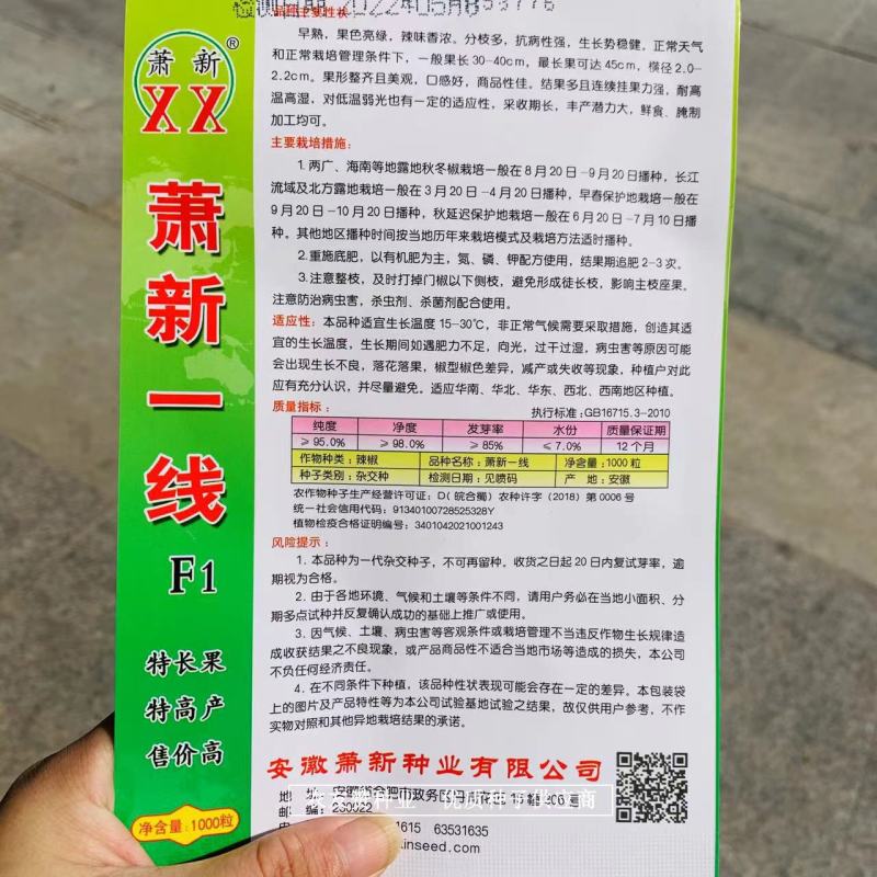 萧新特长果线椒种子早熟耐高温高湿，辣味香浓长线椒种子