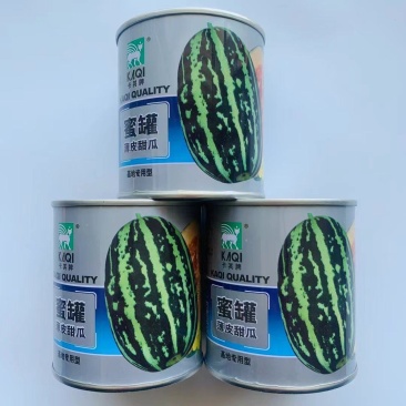 甜瓜种子蜜罐薄皮酥蜜龙香瓜种籽花皮罐装高产高糖农家大田种