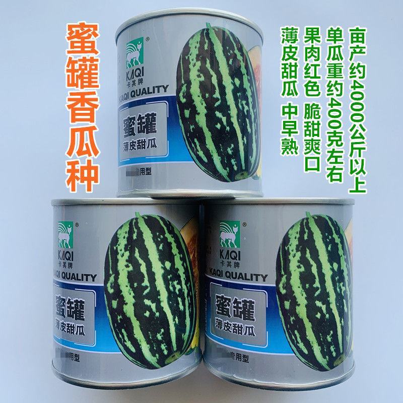 甜瓜种子蜜罐薄皮酥蜜龙香瓜种籽花皮罐装高产高糖农家大田种