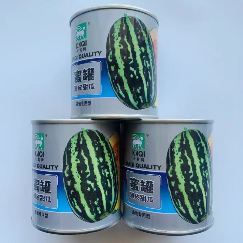 甜瓜种子蜜罐薄皮酥蜜龙香瓜种籽花皮罐装高产高糖农家大田种