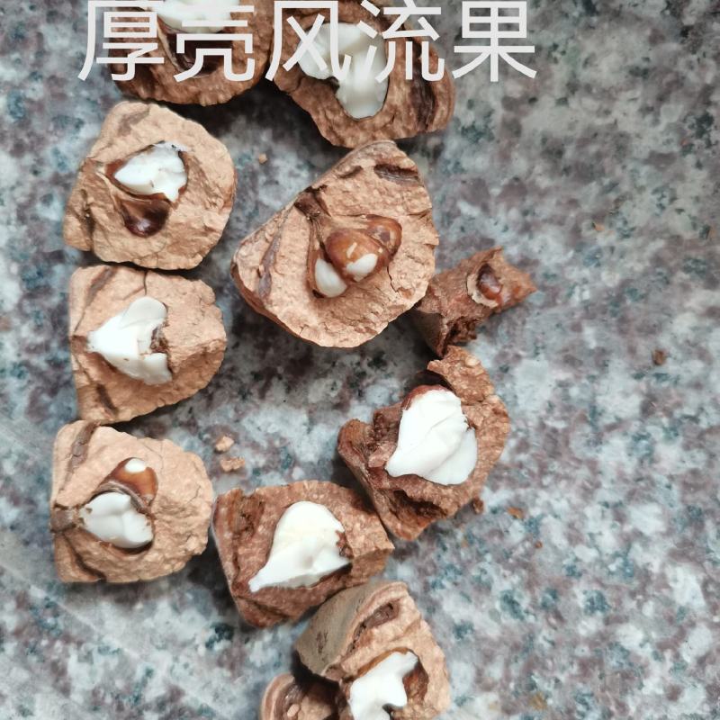 2023广东本地风流果干货中大果，泡酒料
