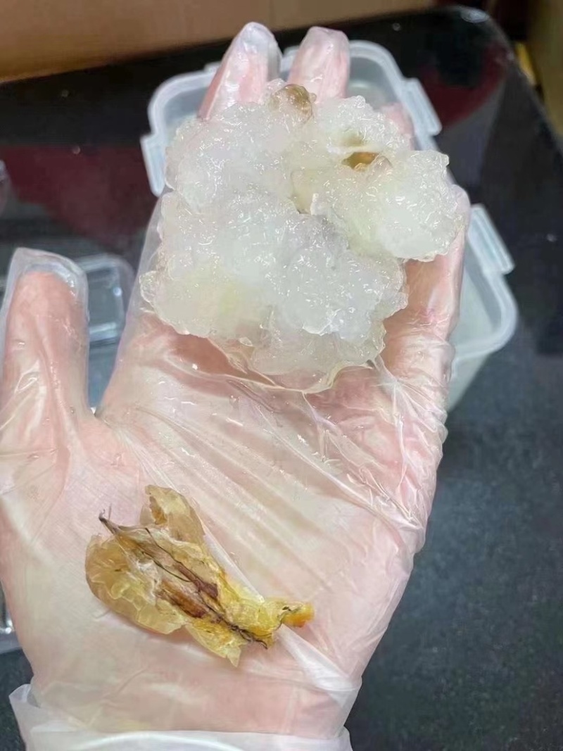 雪蛤油长白山雪蛤传统滋补品蛤干雪蛤膏蛤蟆油批发