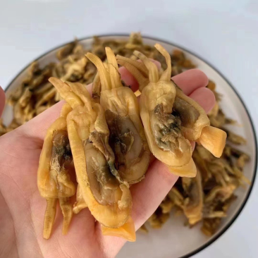 新晒海蛏干无沙双头海蛏干蛏子肉海鲜干货福建特产批发
