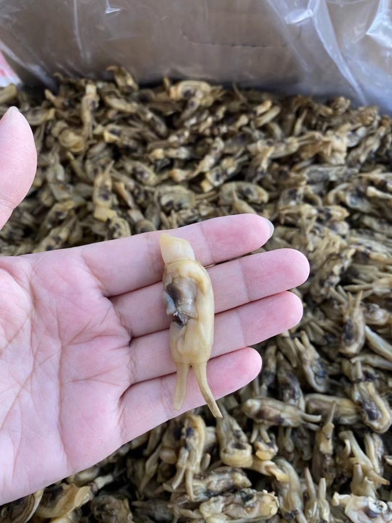 新晒海蛏干无沙双头海蛏干蛏子肉海鲜干货福建特产批发