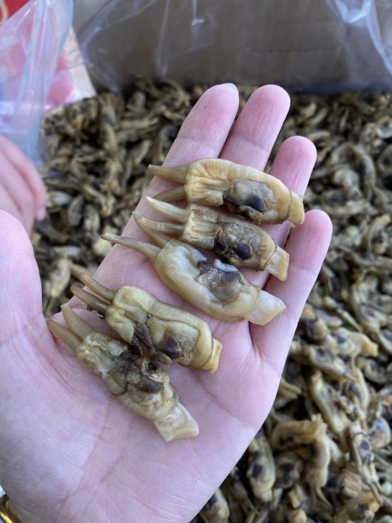 新晒海蛏干无沙双头海蛏干蛏子肉海鲜干货福建特产批发