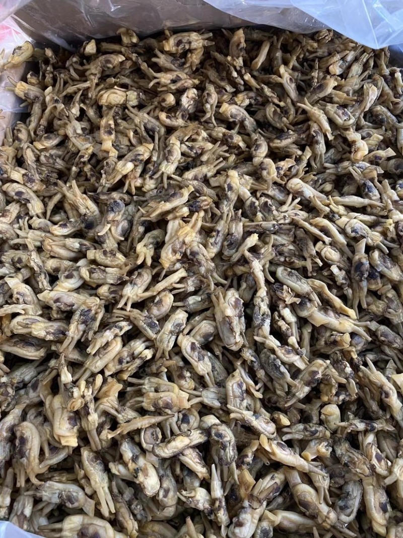 新晒海蛏干无沙双头海蛏干蛏子肉海鲜干货福建特产批发