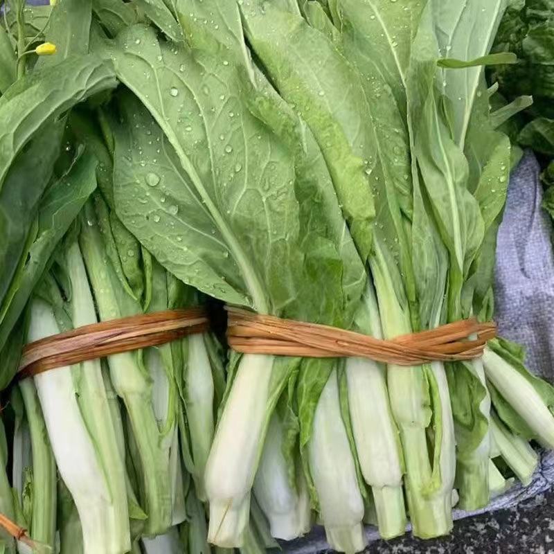 白菜苔，大量供应中，保质保量，欢迎订购。