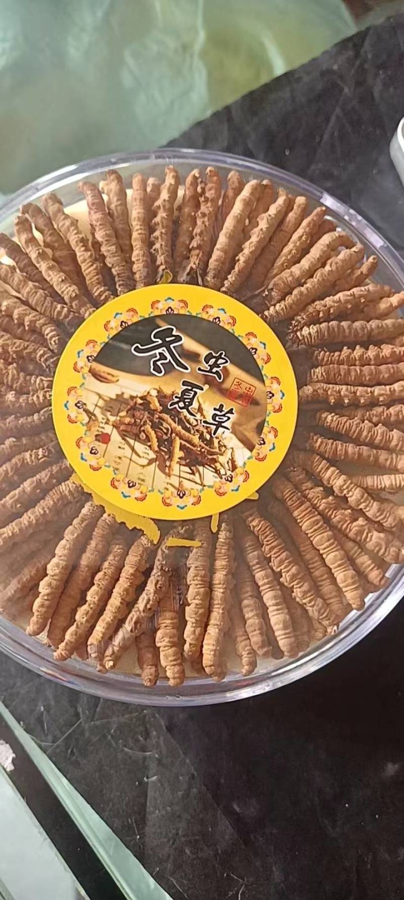 冬虫夏草