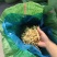 优质玉米芯