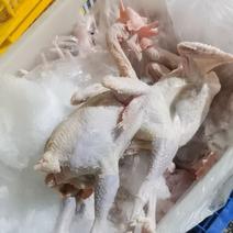 红毛老鸡老母鸡白条鸡光鸡鲜鸡8.5元/1斤源头