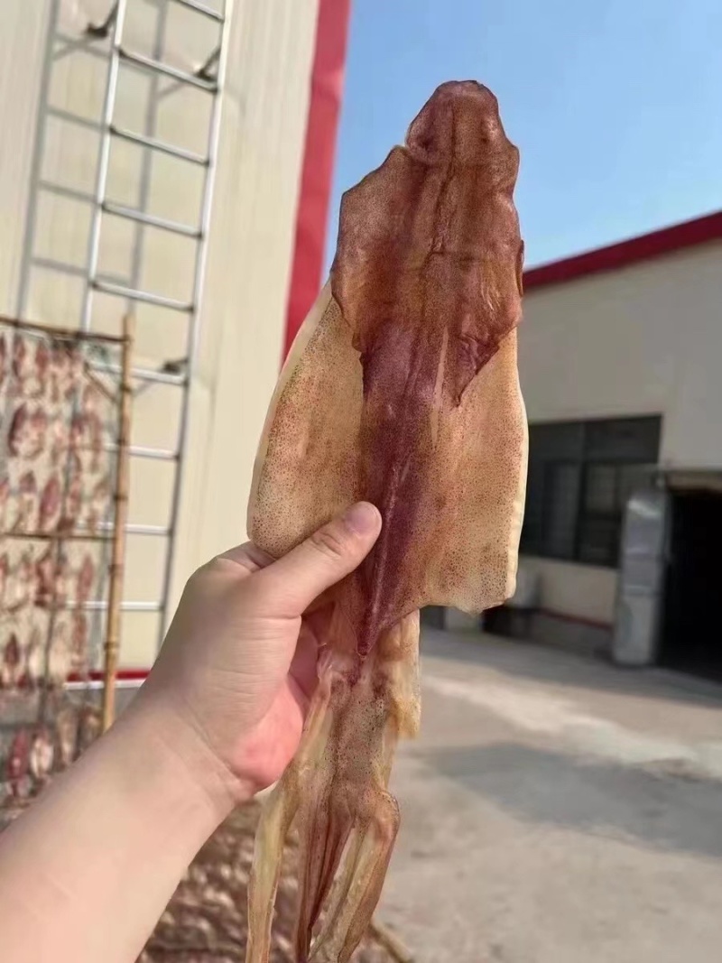 鱿鱼母干带卵干籽生晒母鱿鱼孕妇海鲜干货月子煲汤