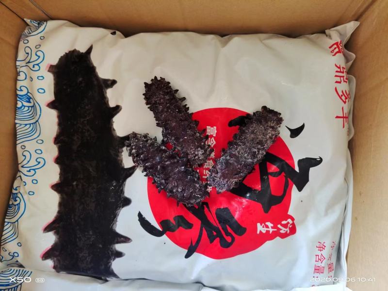素海参，仿参，刺参，即食仿海参，宴席海参凉拌菜