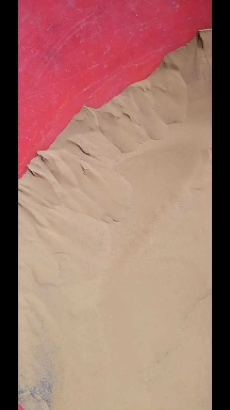 海金沙产地重庆，一手货源，货品质量好，量大价格优惠，欢迎