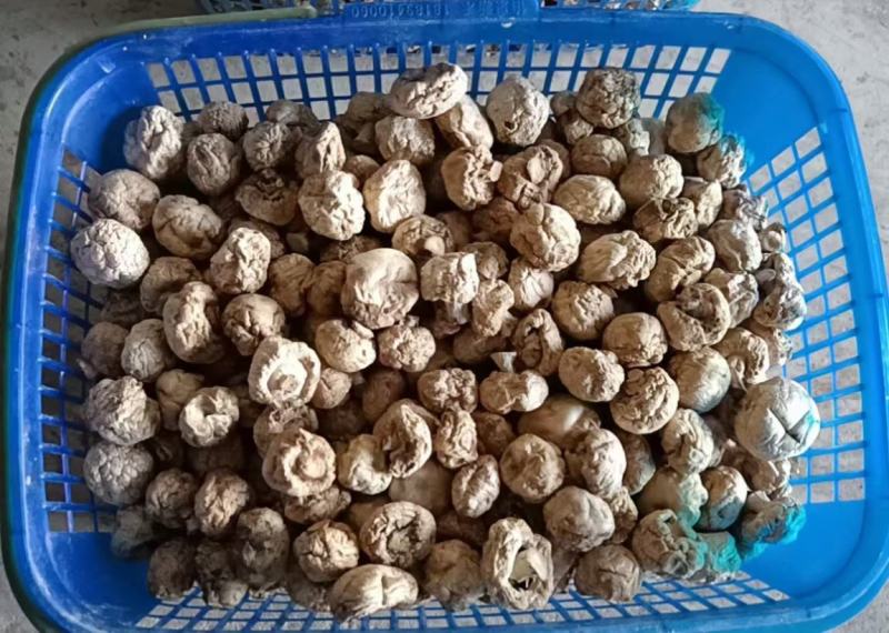 星必德口蘑白蘑菇双孢菇干货，各种品质都有