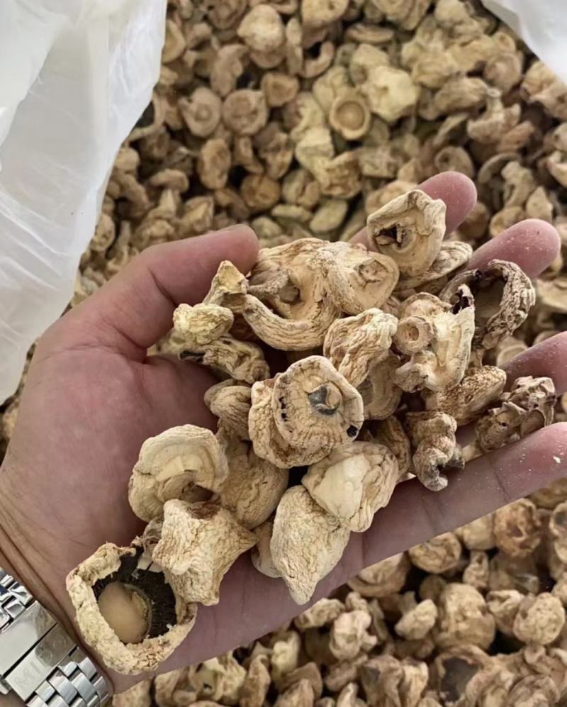 星必德口蘑白蘑菇双孢菇干货，各种品质都有