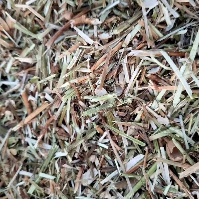 花生秧无土无膜