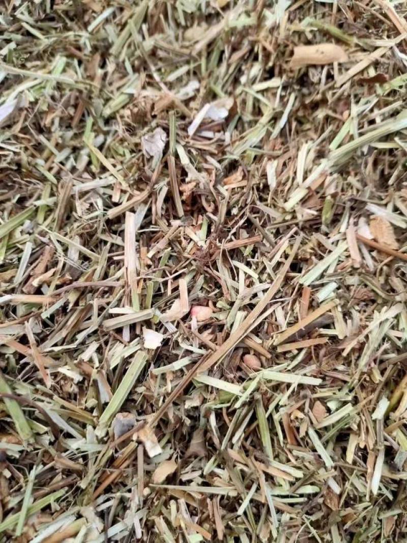 花生秧无土无膜