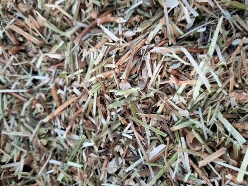 花生秧无土无膜