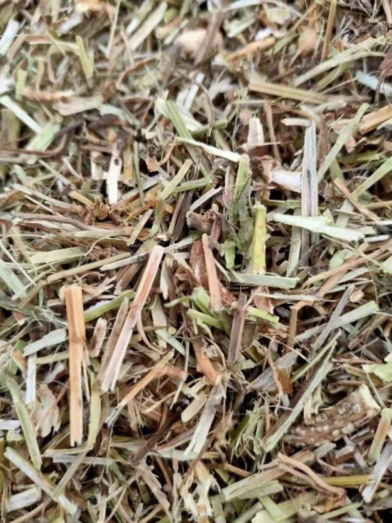 花生秧无土无膜