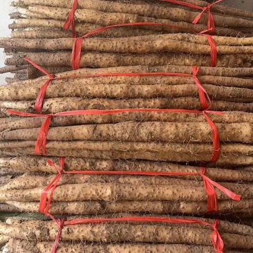 长山细毛山药、宫家细毛山药、包面好吃产地直销