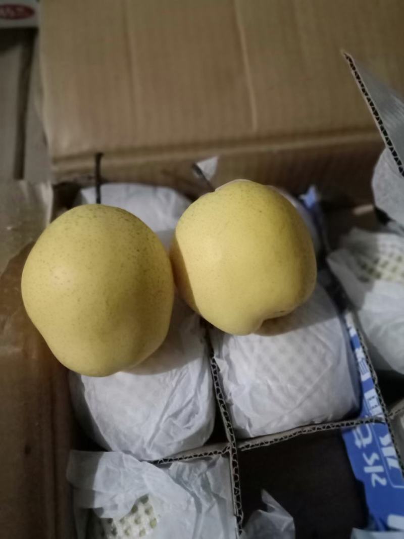 雪梨