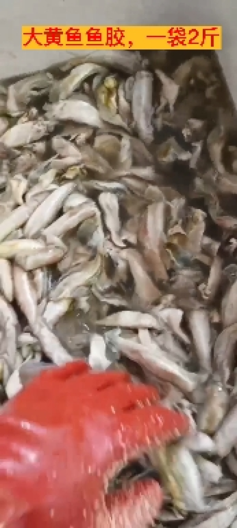 鱼胶大黄鱼鱼胶霞浦原产地大黄鱼鱼胶工厂直供