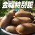 周至产地猕猴桃金福海沃德果园现摘大量现货