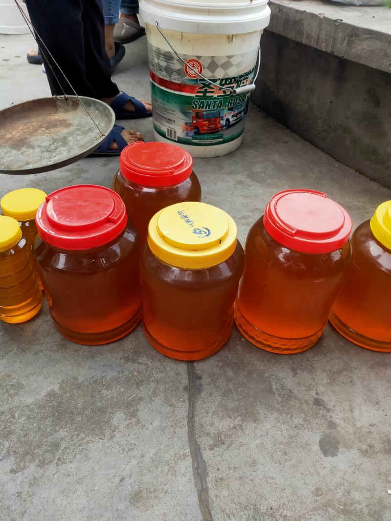 土蜂蜜高山蜜源，一年只取一次，诚信经营，口感纯正