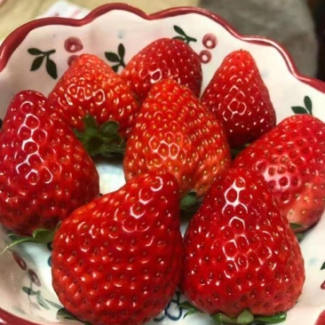 露天草莓