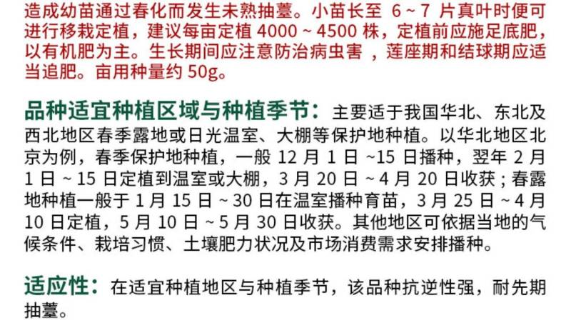 中甘暄菜种子早熟春播45天耐寒耐抽苔松软甘蓝种子手撕包菜