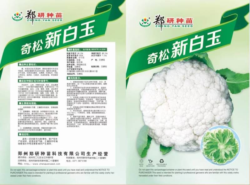 杂交松花菜品种生长势强花球洁白美观，浅青梗花球松大。