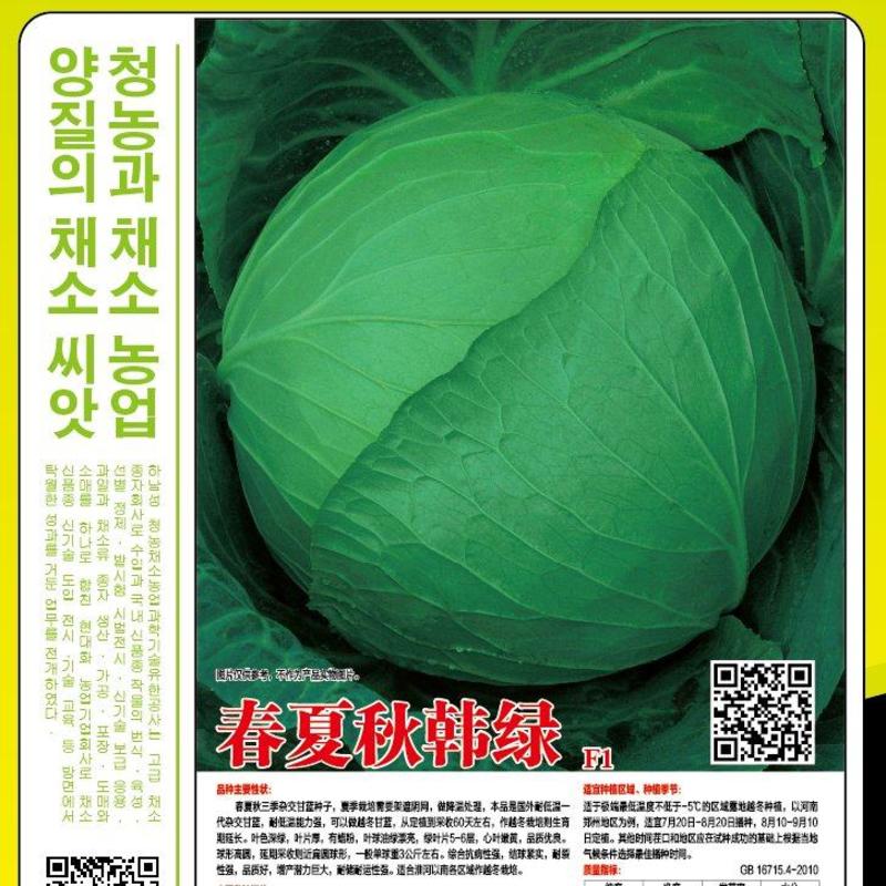 （耐寒）甘蓝种子秋季寒雅珍宝绿宝甘蓝种子抗性好产量高