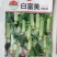 白丝瓜种子白富美奶油白皮丝瓜结瓜多品质好产量出众