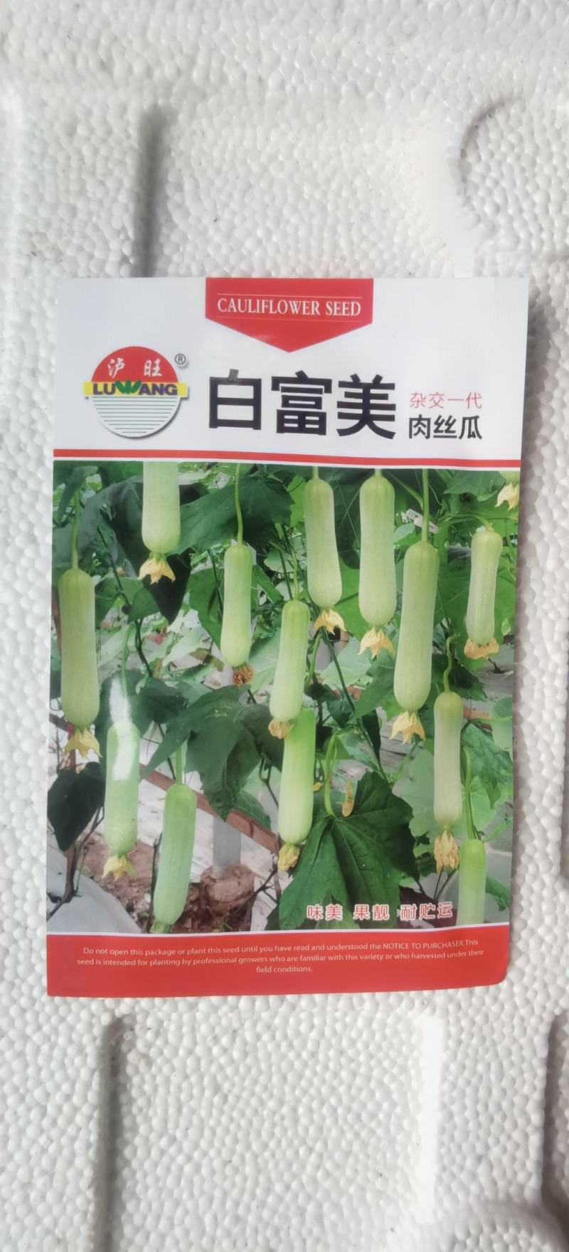 白丝瓜种子白富美奶油白皮丝瓜结瓜多品质好产量出众