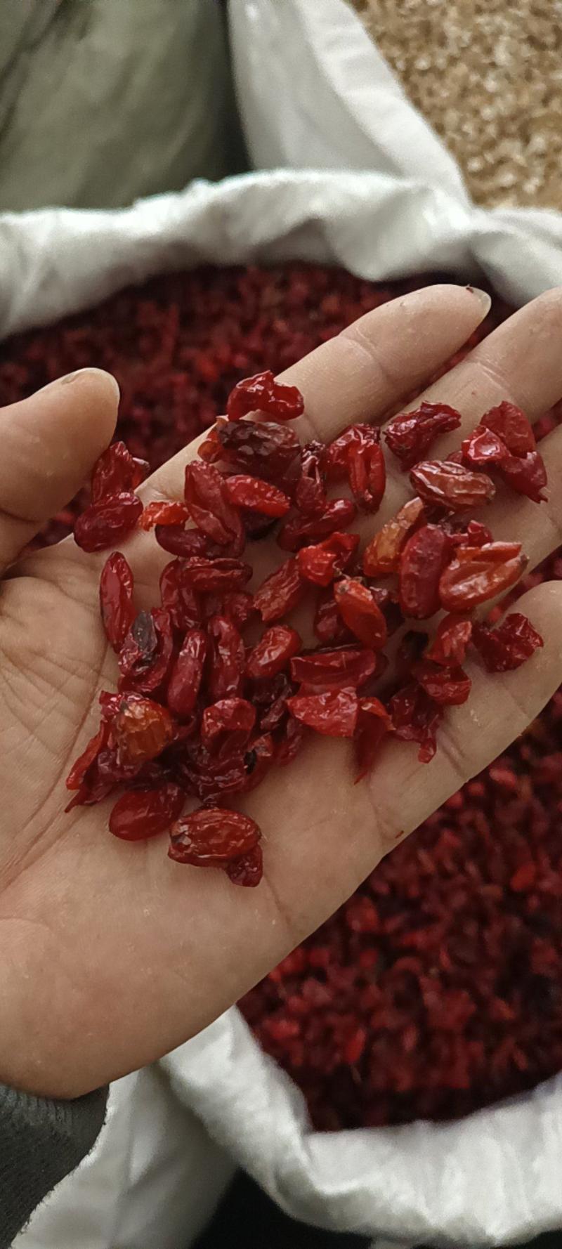 山萸肉山茱萸产地河南筒子皮质量好价格低买货认准永盛