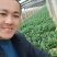 精品小叶菠菜