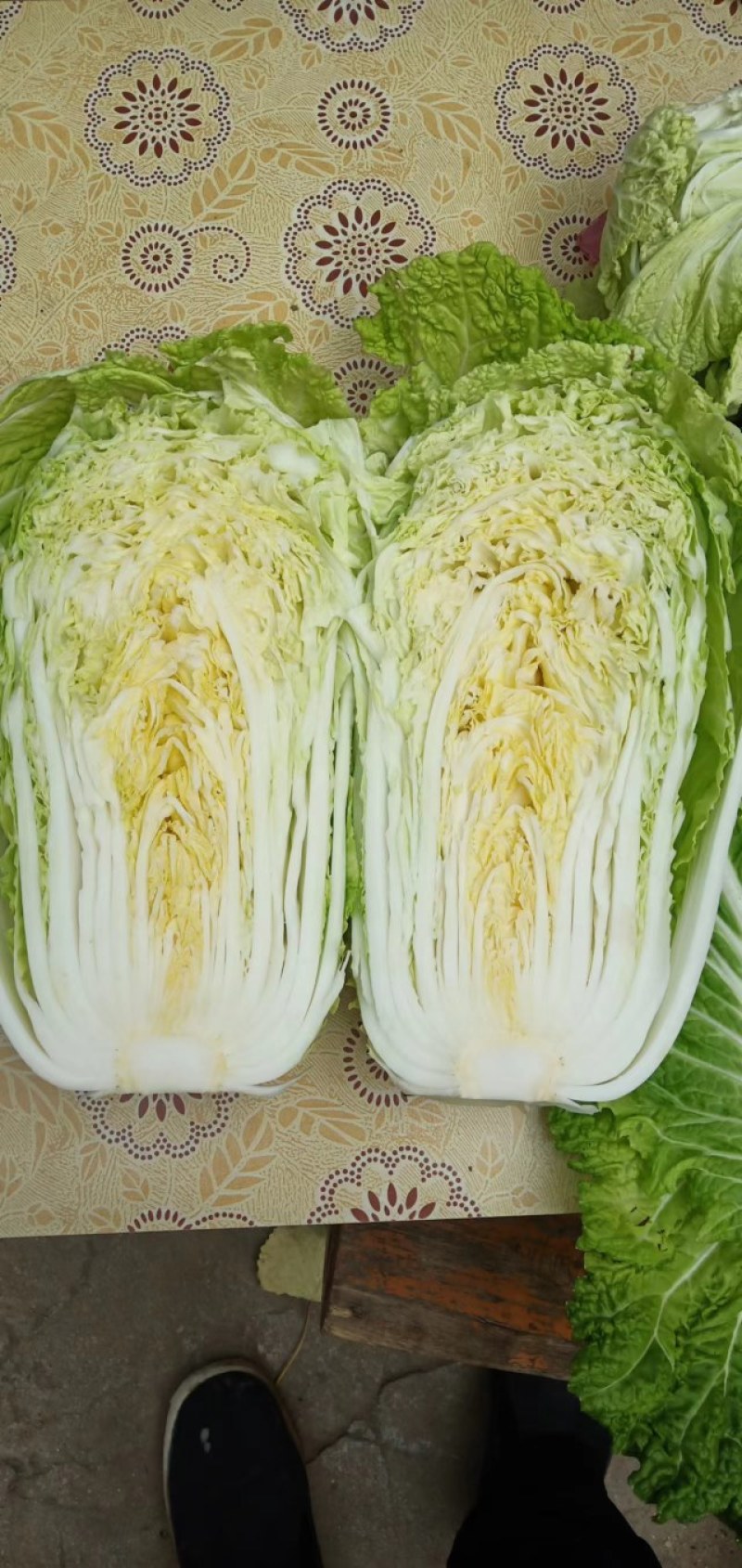 白菜精品矮颗义和秋白菜，河南夏邑县白菜，大量上市供应