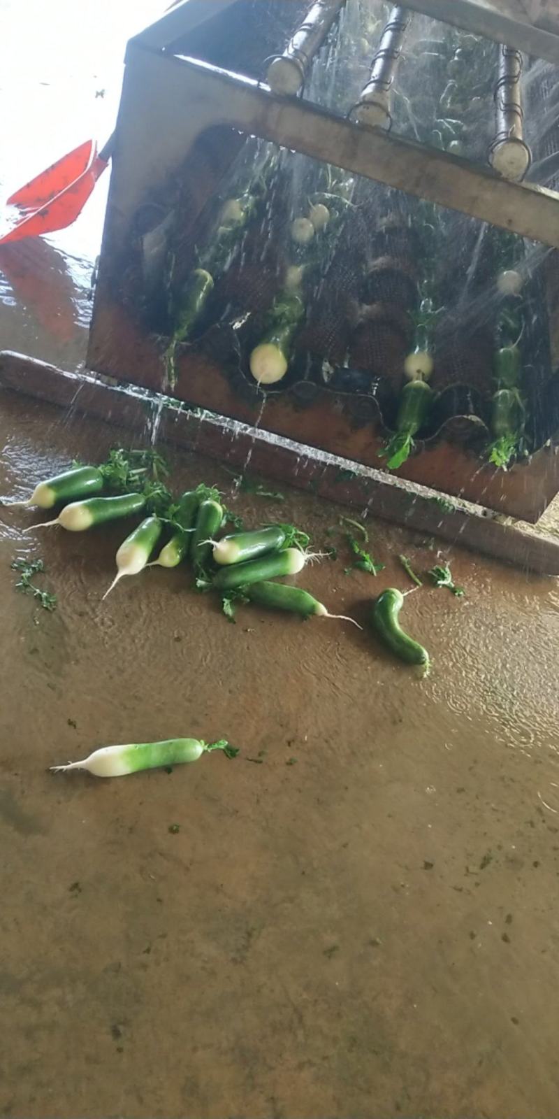 需要的请与我联系