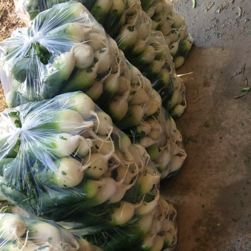 需要的请与我联系