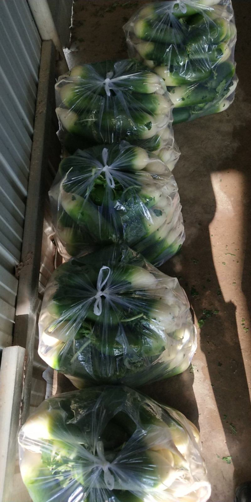 需要的请与我联系