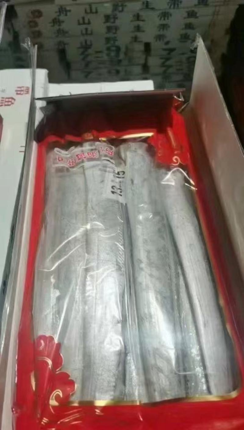 东海优质带鱼大量批发全国各地均可冷链直达