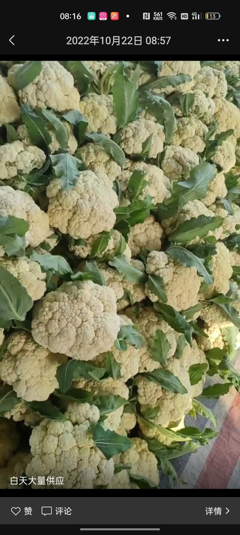 花菜，菠菜，青菜，芹菜，西葫芦，茄子，土豆，辣椒，豆角，