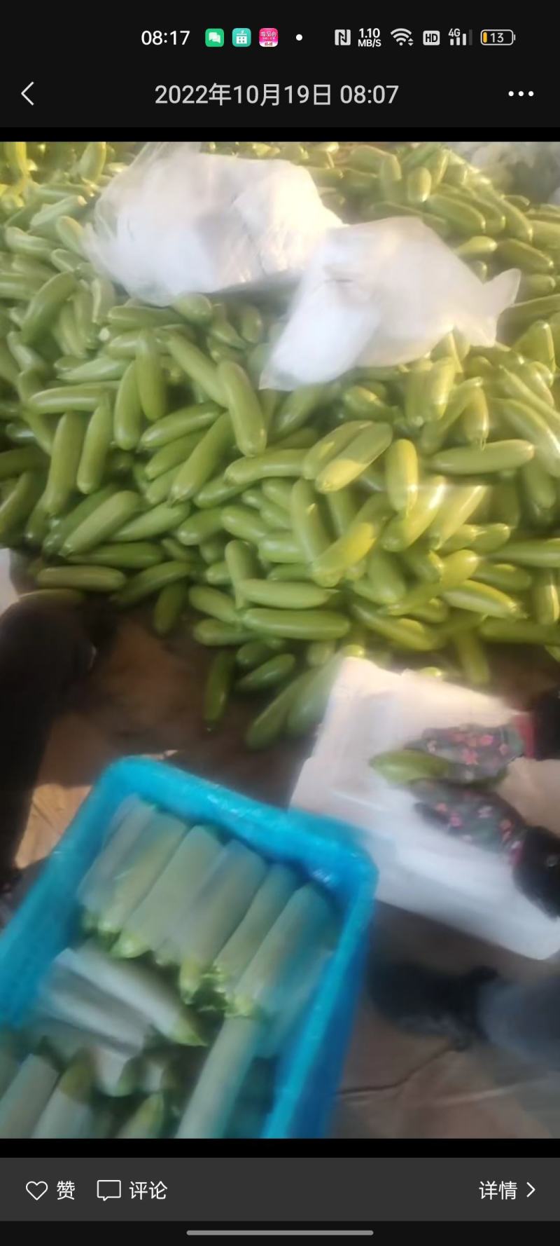 花菜，菠菜，青菜，芹菜，西葫芦，茄子，土豆，辣椒，豆角，