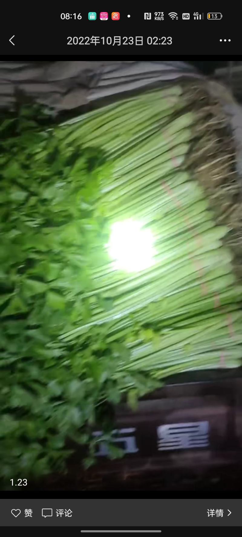 花菜，菠菜，青菜，芹菜，西葫芦，茄子，土豆，辣椒，豆角，