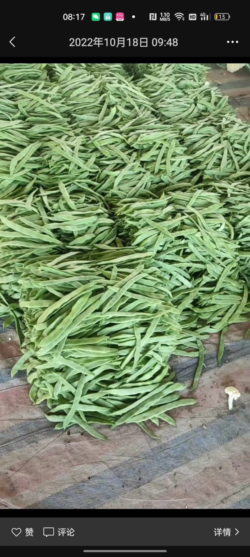 花菜，菠菜，青菜，芹菜，西葫芦，茄子，土豆，辣椒，豆角，