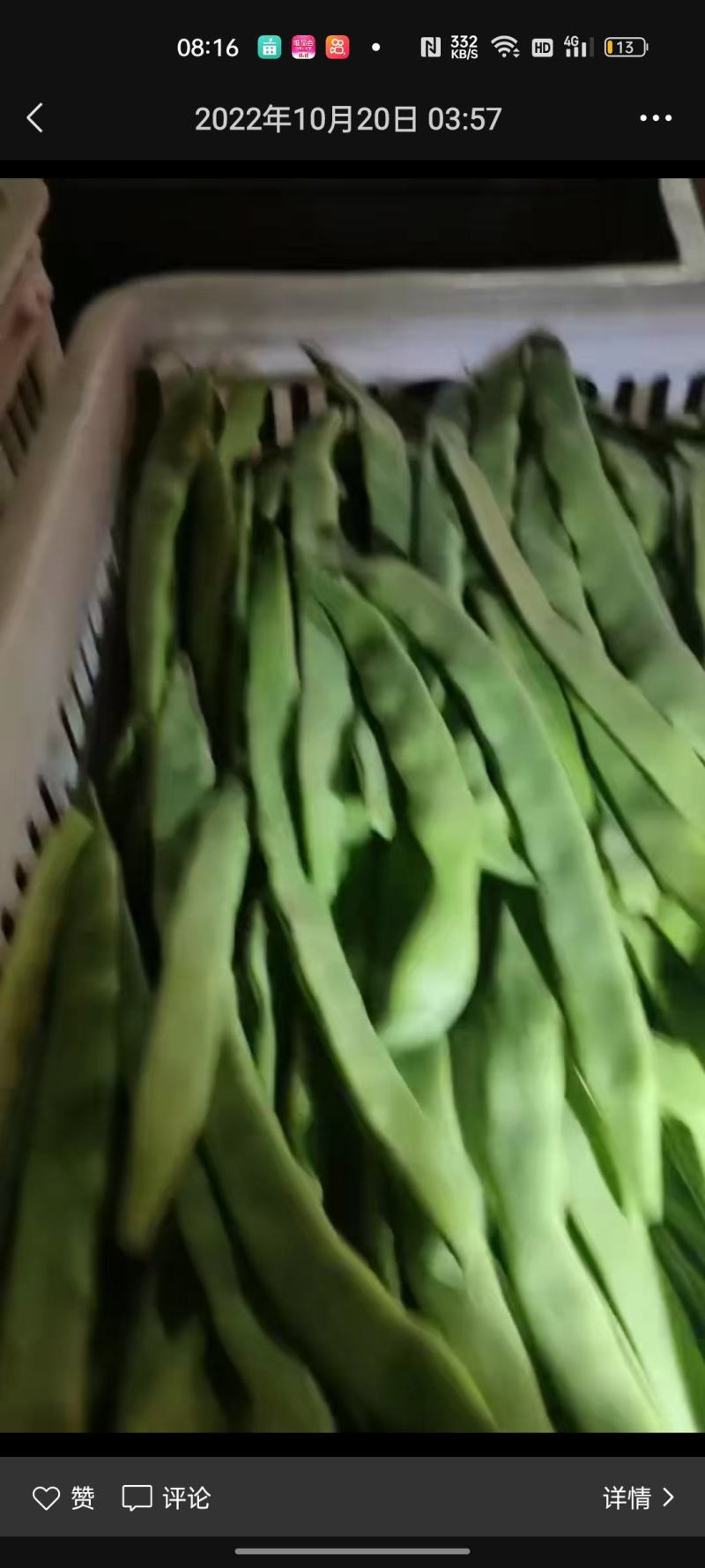 花菜，菠菜，青菜，芹菜，西葫芦，茄子，土豆，辣椒，豆角，
