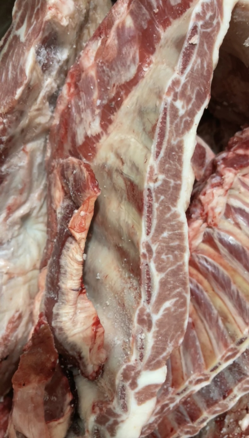 羊排羔羊肉排直发货去云皮去油精修款羊排羊蝎子