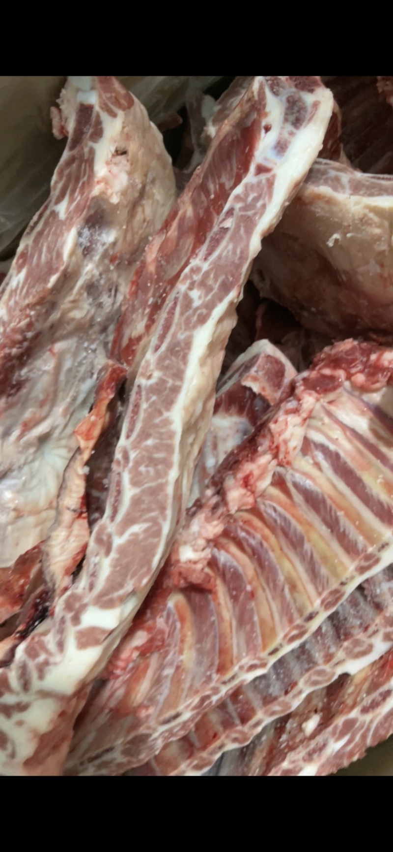 羊排羔羊肉排直发货去云皮去油精修款羊排羊蝎子