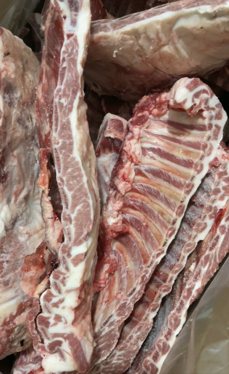 羊排羔羊肉排直发货去云皮去油精修款羊排羊蝎子