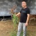 （一手货源）鹿苗，梅花鹿种鹿幼崽宠物鹿提供养殖技术